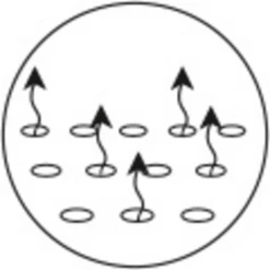 ALVI Matras Dutje 70x140 Cm 11 ALVI Matras Dutje 70x140 Cm -NL Beddengoed Verkoopwinkel alvi matras dutje 70x140 cm a037359 4